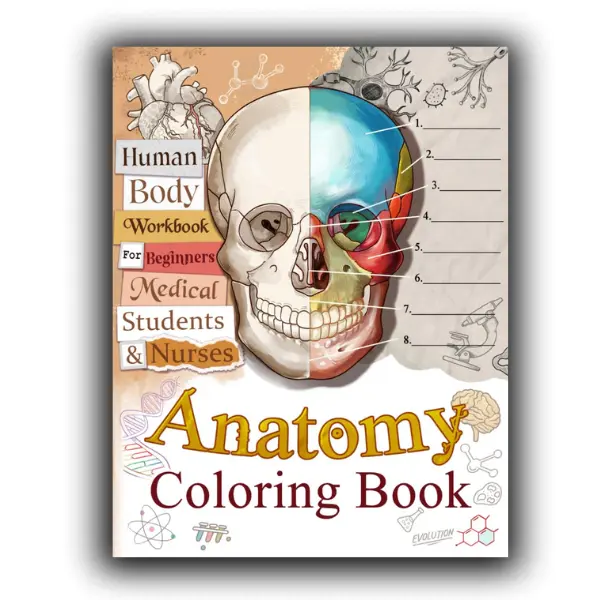 Anatomy Coloring Book: Human Body Workbook for Beginners, Medical Students, and Nurses, Detailed Diagrams of Major Systems to Color and Learn (Anatomy for Beginners)