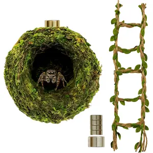 Jumping Spider Hideout, Habitat Decor— Handmade Moss Hideout & Hemp Rope Bridge, Fun Enclosure Accessories for Climbing & Hiding