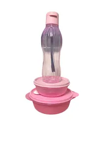 Pink Lunch Set - Simple Pink Lunch Container as Described