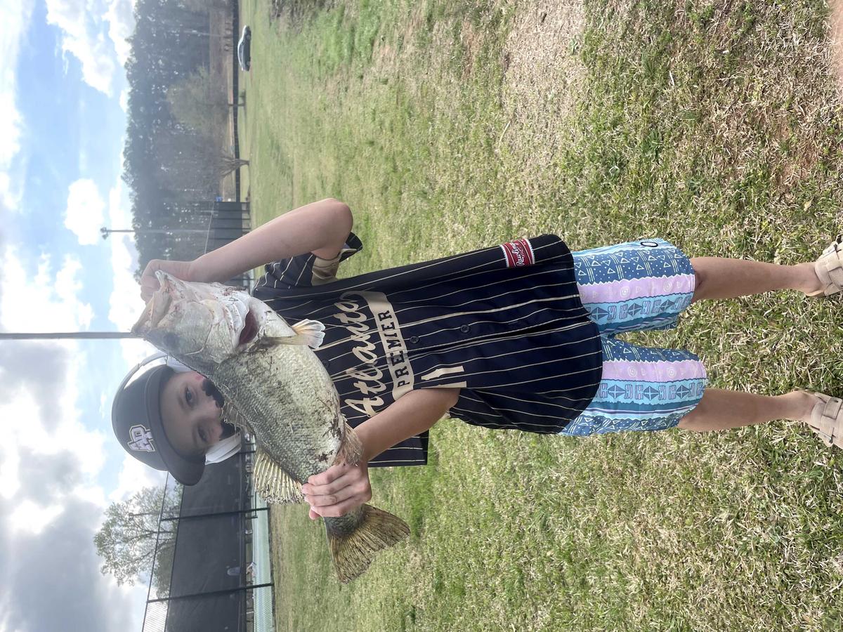 Item: 6'6"/Moderate Fast-Medium-2pcs/Right Handed-White