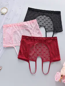 3pcs Sheer Heart Lace Underwear | Breathable Hollow Out Briefs Panties | Sexy Lady Lingerie for Women