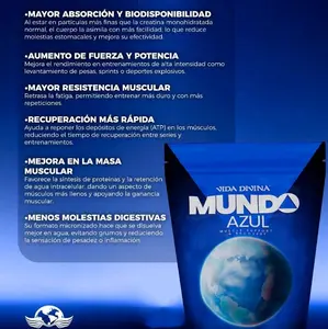 Mundo Azul - BCAA + Creatine for Muscle Recovery Supplement - 30 individual Sachets - 21.7 oz by Vida Divina
