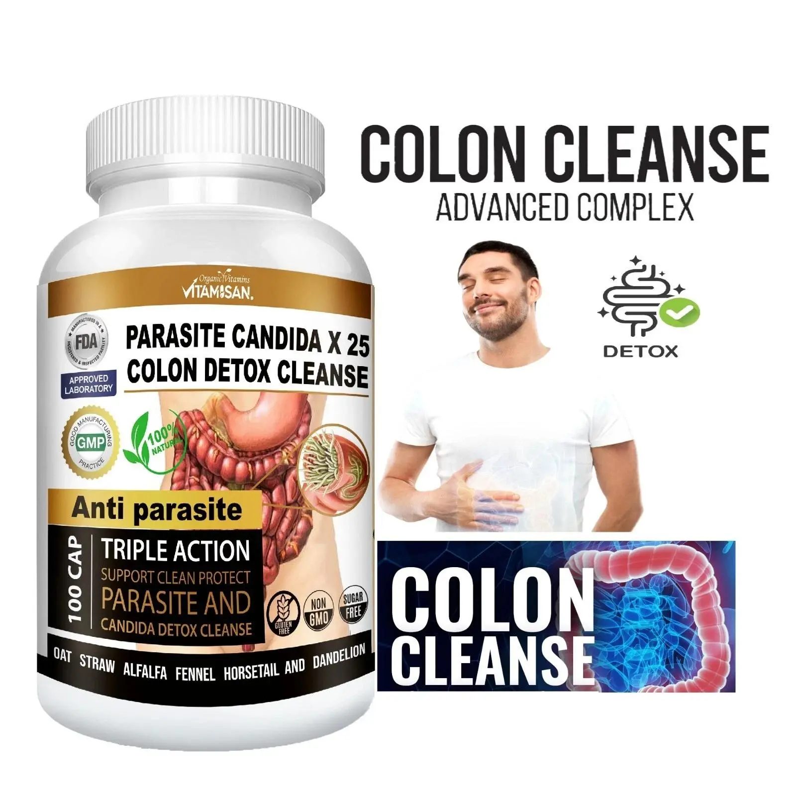 Wellness Support Formula Remove Parasite ANTI PARASITE & CANDIDA DETOX Body Cleanse ULTRA FLASH COLON 100