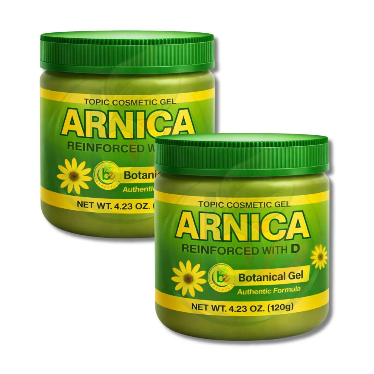 2 Pack VIRAL Arnica Gel – 4.23 oz (120 g) – Botanical Massage Gel for Body Care – External Use