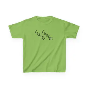 Clairo Charm Album Y2K Baby Tee - 90s Aesthetic Baby Tee, Gift for Her