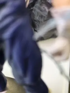 Prideful Prince Light up Vanguard Diorama [SL-GW-VEG-05] – Golden Warrior Series –PVC Art Sculpture