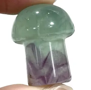 15 Counts Small Fluorite Mushroom Crystal Healing Crystal Home Decoration From IG Crystal