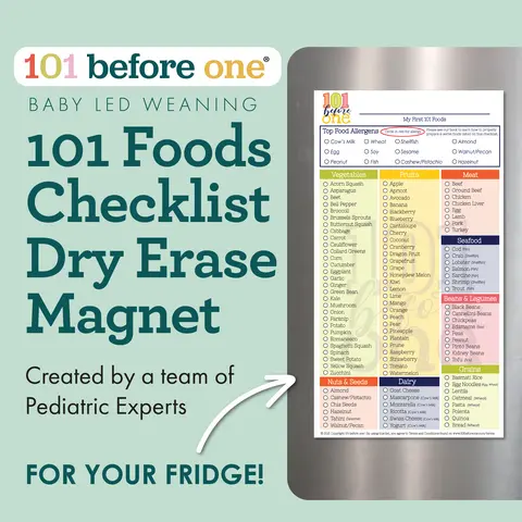 101 Foods Checklist Dry Erase Fridge Magnet from 101 before one for Baby Led Weaning