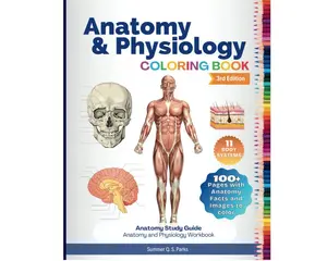 Anatomy and Physiology Coloring Book: Anatomy Study Guide. Anatomy and Physiology Workbook Paperback – Large Print, November 21, 2020