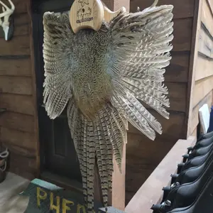 Pheasant Feather Mount Realistic Taxidermy Display for Home Decor and Hunting Collectibles