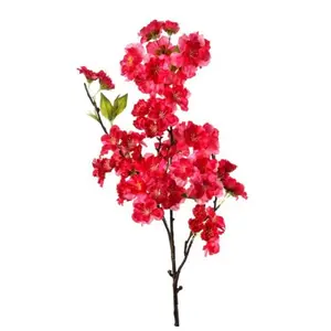 Sweet Cherry Blossom Stem