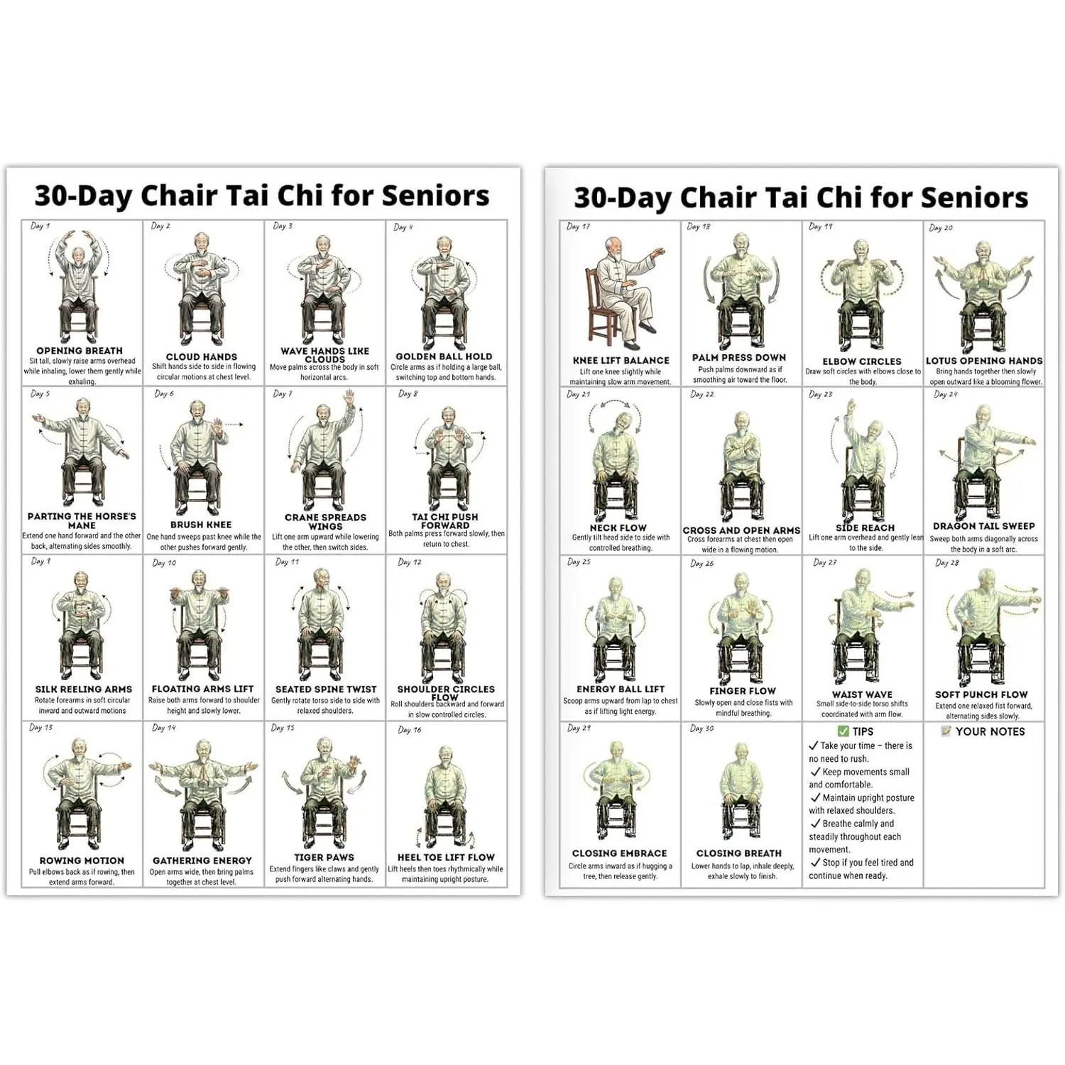 Partner Chart Daily Routine Daily Partner Tai Chi Chair Workout Chart for Seniors, Printable Wall ...