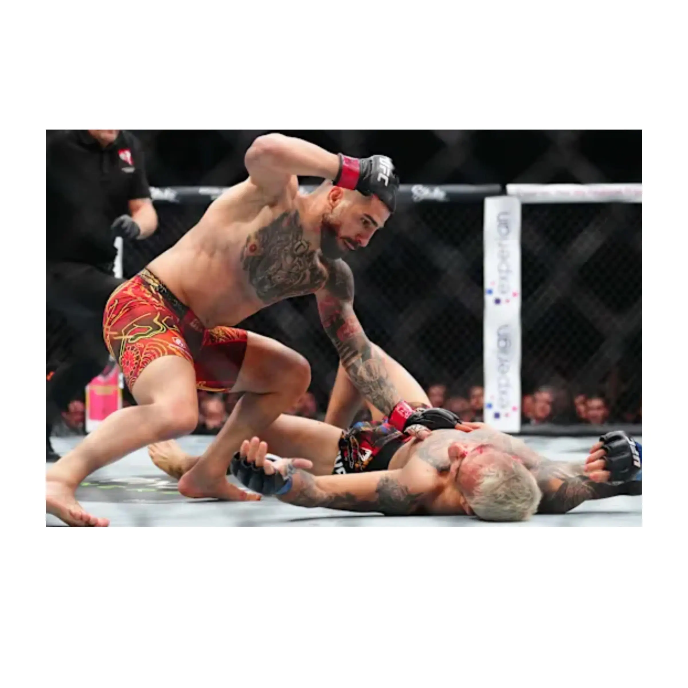 Ilia Topuria UFC 317 Knockout Poster, Ground and Pound Finish Over Oliveira, MMA Violence Art Print