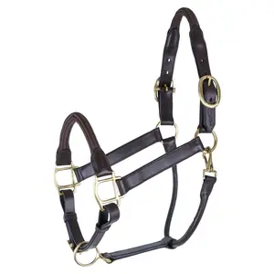 Premier Leather and Rope Control Halter