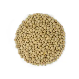 Grown in USA Organic Garbanzo Beans Raw non GMO Vegan Bulk