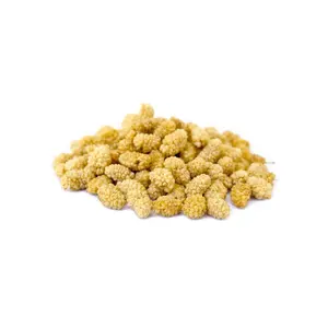 Organic Afghani White Mulberries 1 lb – Naturally Sweet Superfood Snack | No Preservatives