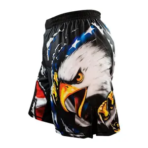 American Eagle Fight Shorts