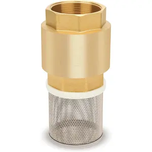 Foot Valve with Filter 1-1/2" NPT, Brass Bottom Valve, Non Return Spring Vertical Check Valve to Filter Impurities,  Backflow of Media for Water Pump, Irrigation, Industrial Piping System DN40