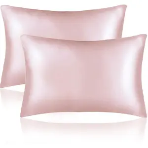 Silk Pillowcase 2 Pack% Mulberry Silk Pillow Cases for Hair and Skin Grade 6A Both Sides 19 Momme Natural Real Silk Zipper Gift Pillow Cover for Girl's Sleep Standard 20"x26" Pale Pink