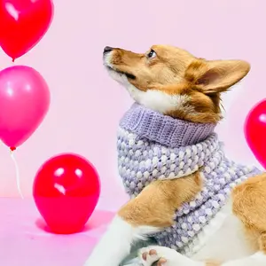 Crocheted Dog Sweater