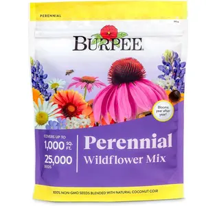 Wildflower 25,000 Bulk, 1 Bag | 18 Varieties of Non-GMO Flower Seeds Pollinator Garden, Perennial Mix