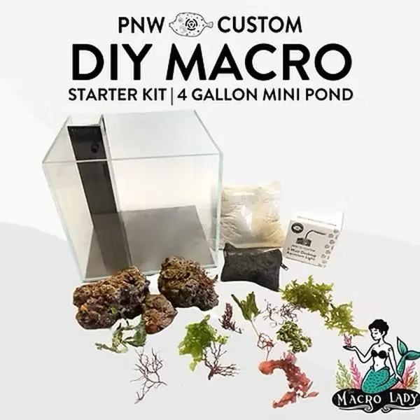 DIY Macro Starter Kit - The Macro Lady Collaboration