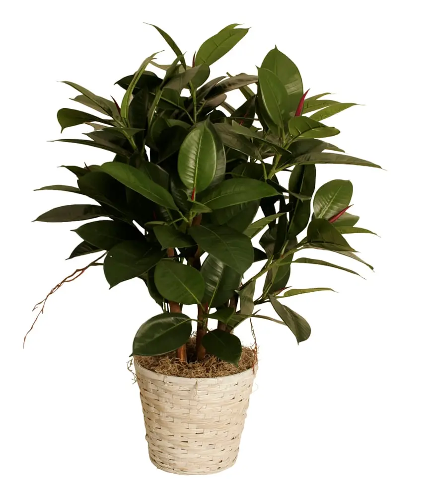 Wald Imports 0025-10W 10 in. Whitewash Rattan Pot Cover