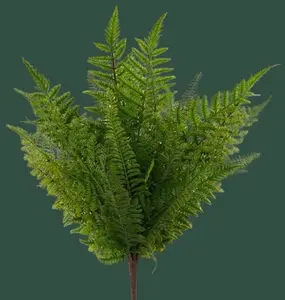 23"L Fern Bush