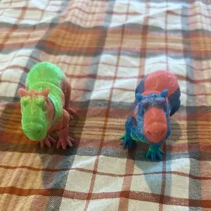 Small Rainbow Capybara Fidget toy