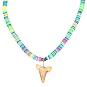 Colorful Shark - Fossil Sharks Tooth Necklace