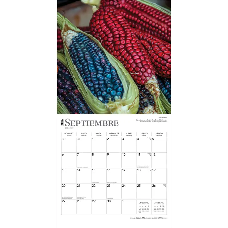 Mercados de Mexico | Markets of Mexico | 2026 12 x 24 Inch (Hanging) Monthly Square Wall Calendar | English/Spanish Bilingual | Plastic-Free | BrownTrout | Clothes Toys Food Shopping 3