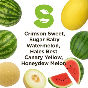 Heirloom Melon Seed 5 Pack Variety