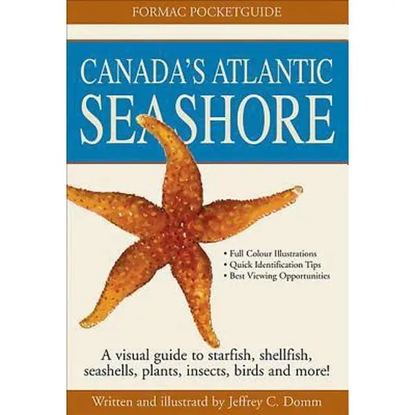 Used Formac Pocketguide to Canada's Atlantic Seashore - Paperback Book with Illustrations, Sea Shells Focus (Literature & Art Category)