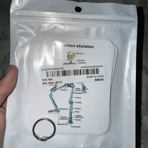 Anatomical Study Flashcards with Front and Back Views, Skeletal System Diagrams and Vocabulary Cards, Medical Learning Guide for Students, Doctors and Nurses, Nursing Flashcards