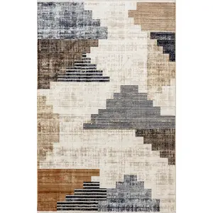 Vanita Transitional Southwestern Fringe Area Rug