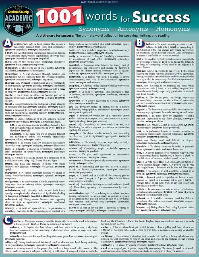 1001 Words For Success: Synonyms, Antonyms & Homonyms