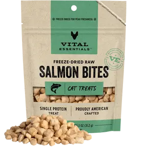 Freeze-Dried Salmon Bites Cat Treats