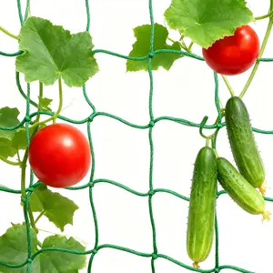 High-Strength Pe Garden Net 6.6 X 16.4 Feet, Plant Clip Trellis Net, Ideal for Cucumbers, Tomatoes, Sweet Peas, Climbing Vegetables