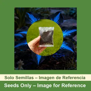 Flower Seeds (800 Pcs)