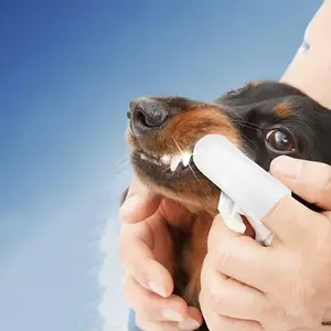 50pcs/100pcs/200pcs Disposable Pet Dental Finger Sleeves Dog Toothbrush Finger Covers Cat Finger Sleeves Wet Wipes Oral Care Products, Soft, Gentle, Non-Irritating for All Sizes and Breeds of Dogs & Cats, Essential Pet Supplies, Grooming Essentials | Gent