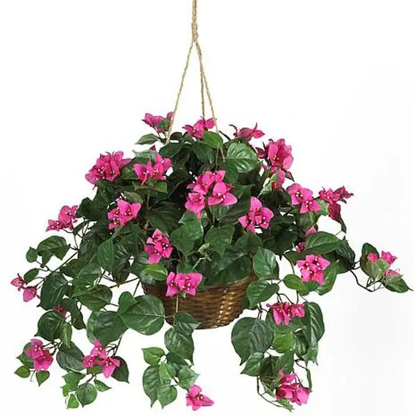 Nearly Natural Bougainvillea Hanging Basket Silk Plant Nearly Natural Bougainvillea Hanging Basket Silk Plant