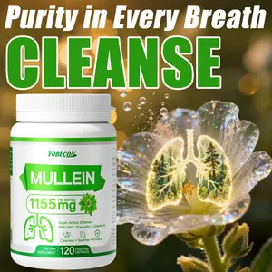 Mullein NAC Supplement Respiratory Support Mullein Leaf Airway Support Immune Support 120 Capsules