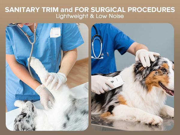 Dog Clipper for Matted & Long Hair,Quiet Pet Paw Hair Trimming Groomer,Handy Cordless Rechargeable Waterproof Shaver Kits for Cats,Small Dogs & Pets