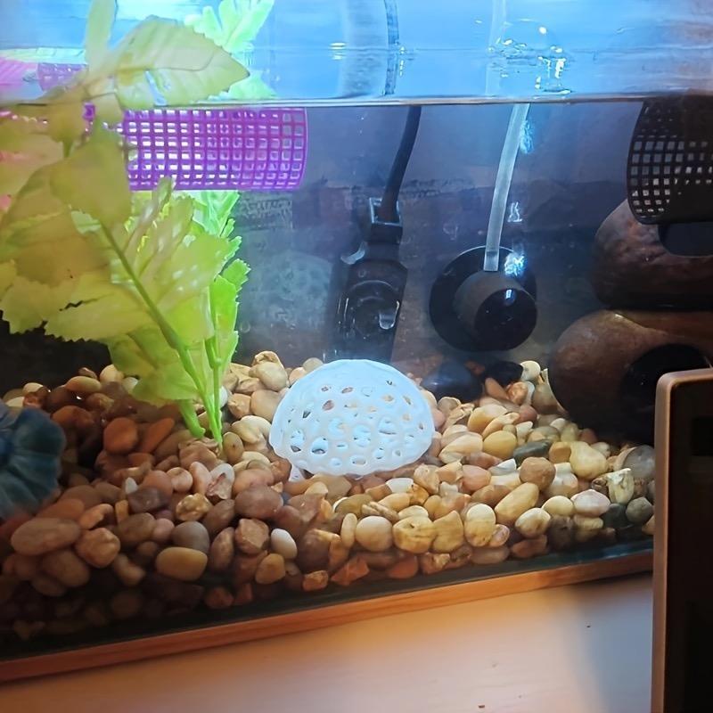 Aquarium Shrimp Dome Decor, Safe Plastic Hiding Spot for Shrimp, Moss Rack, Aquarium Top Decoration, Essential Fish Tank Accessory