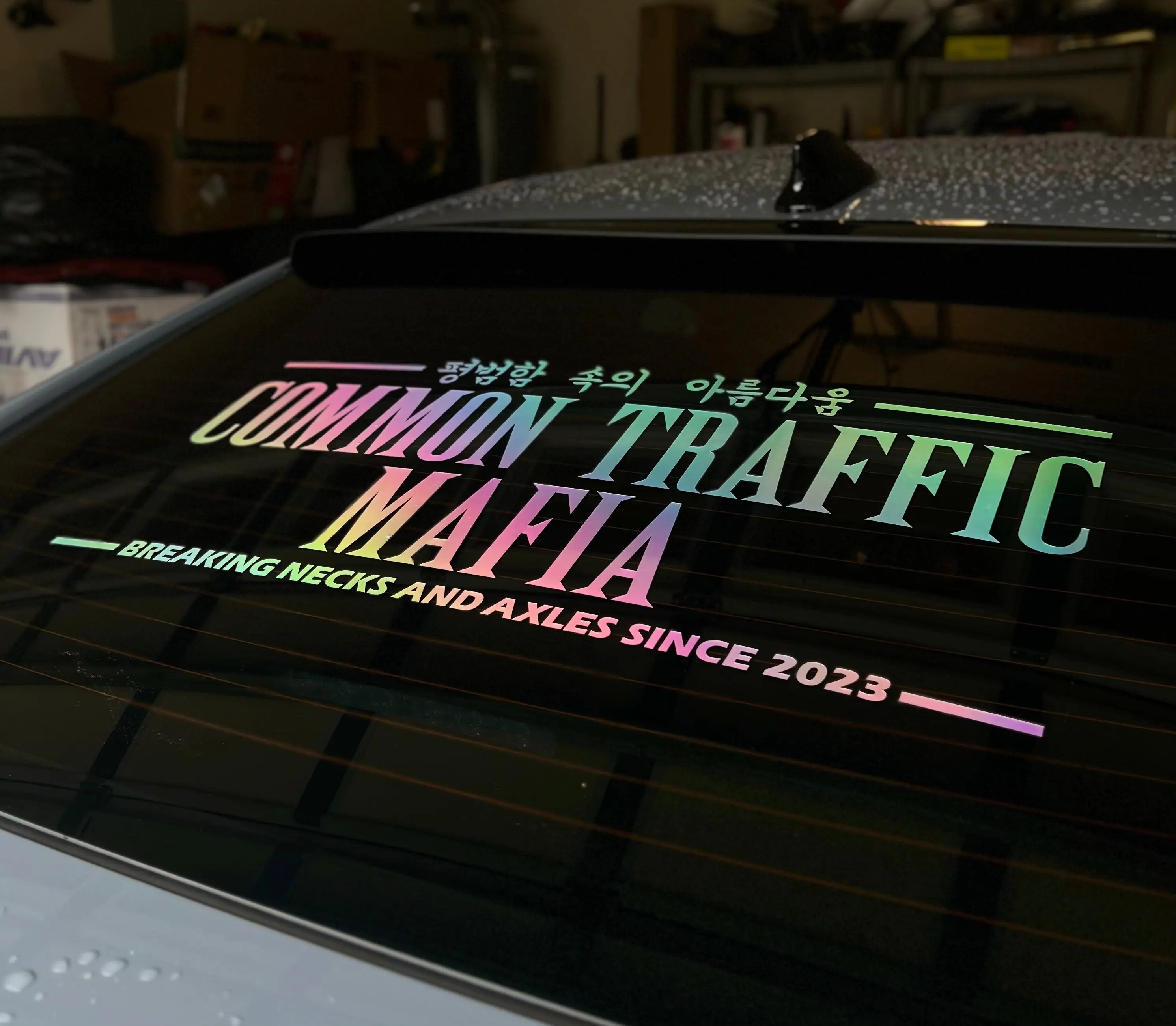 “Beauty In The Ordinary” Rear Windshield Banner