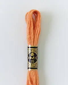 DMC Embroidery Stranded Thread - Six-Strand Embroidery Floss - 402 - Pottery