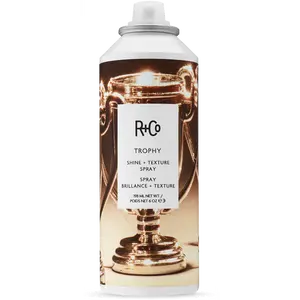 TROPHY Shine + Texture Spray