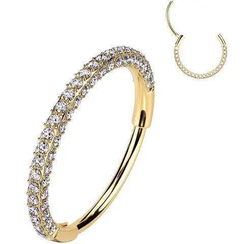 Body Candy 20 Gauge Gold PVD Implant Grade Titanium Hinged Nose Hoop - Triple-Sided Micro Gem, Non-Removable Segment, CZ, Unisex Body Jewelry for Conch Piercing, Adults' Accessories (Select Size), Hinged Piercing Hoop, Nose Rings Hoops