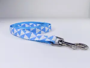 Blue's Clues Leash