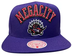 Men's Mitchell & Ness Purple NBA Toronto Raptors ZZ HWC Snapback